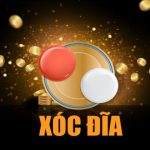 ban-chan-ban-le-xoc-dia-la-gi