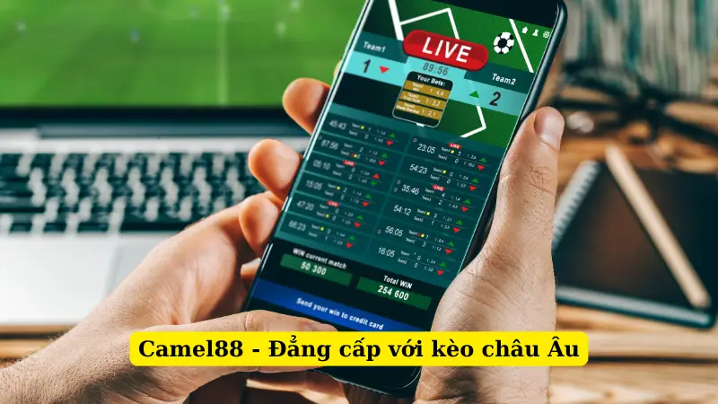 Camel88 - Đẳng cấp với kèo châu Âu